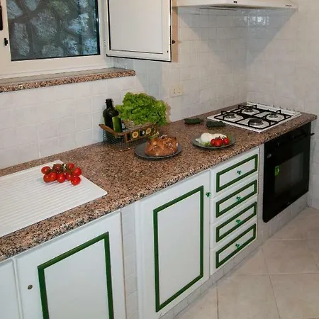 شقة Sunflower In